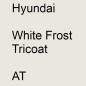 Preview: Hyundai, White Frost Tricoat, AT.